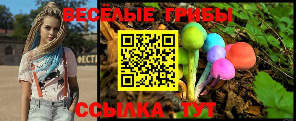 Галлюциногенные грибы прущие грибы Сыктывкар